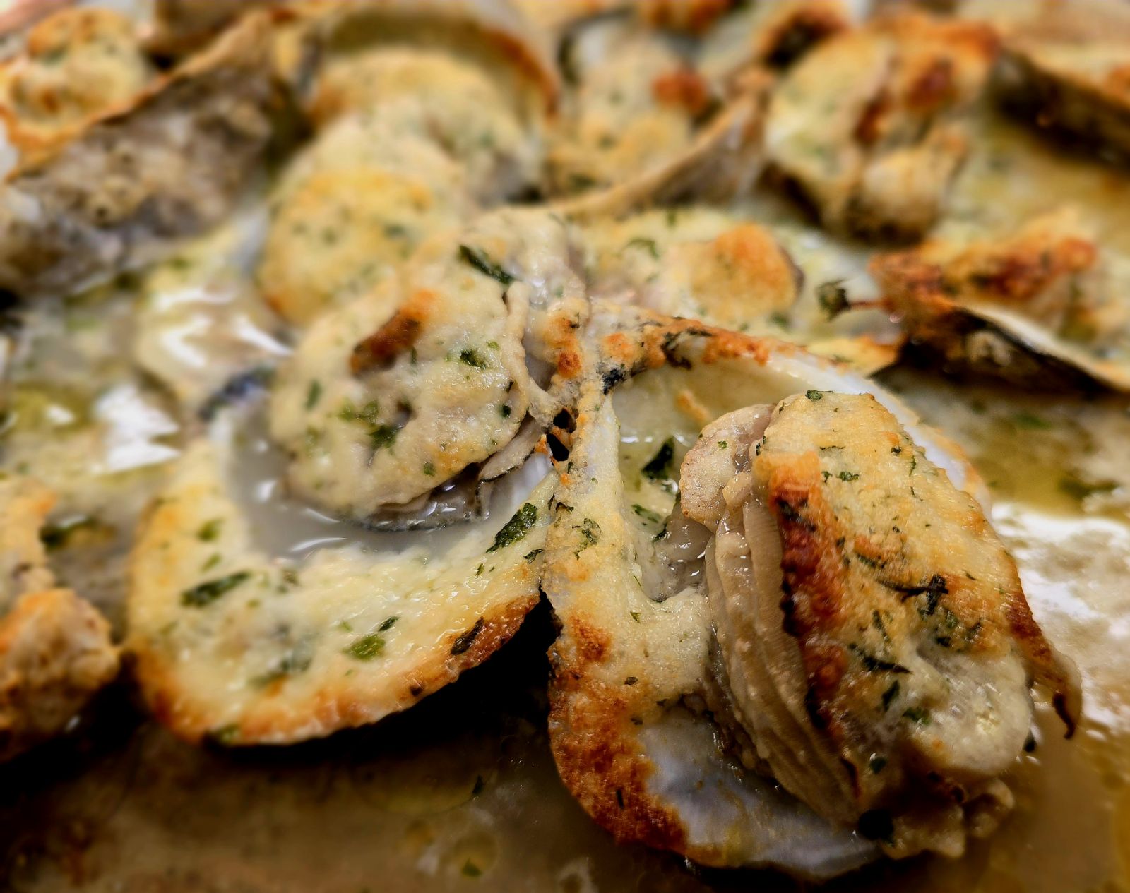 Chargrilled Oysters with Garlic Butter & Parmesan